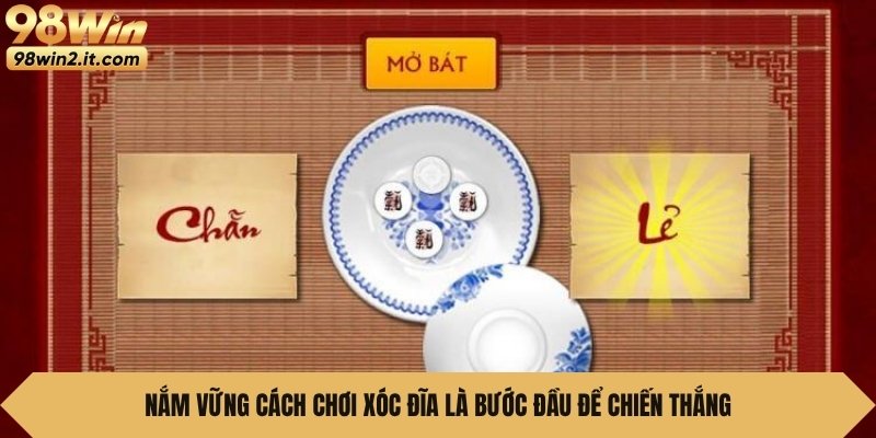 Nắm vững cách chơi xóc đĩa là bước đầu để chiến thắng 