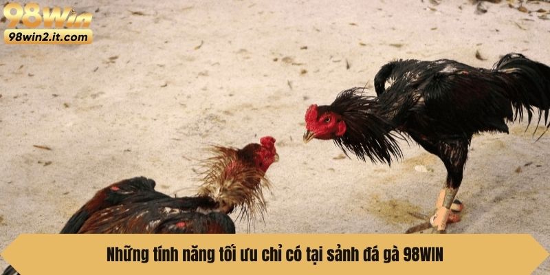 Những tính năng tối ưu chỉ có tại sảnh đá gà 98WIN